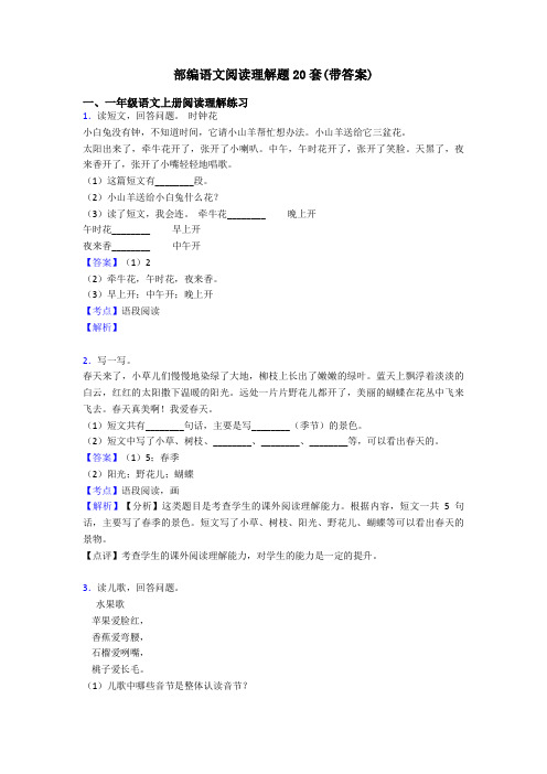 一年级部编语文阅读理解题20套(带答案)