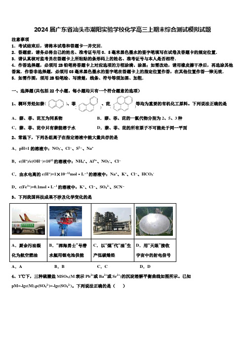 2024届广东省汕头市潮阳实验学校化学高三上期末综合测试模拟试题含解析