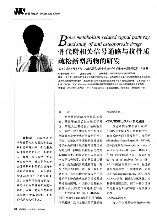 骨代谢相关信号通路与抗骨质疏松新型药物的研发