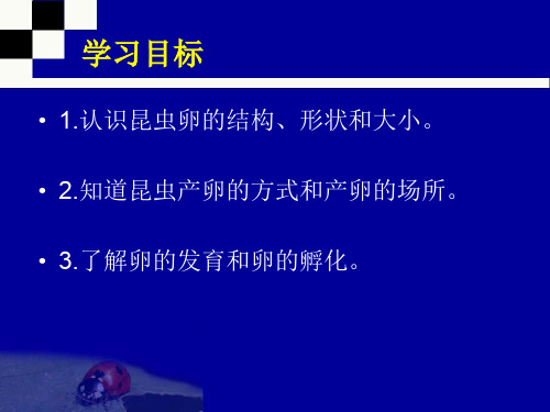 昆虫的发育