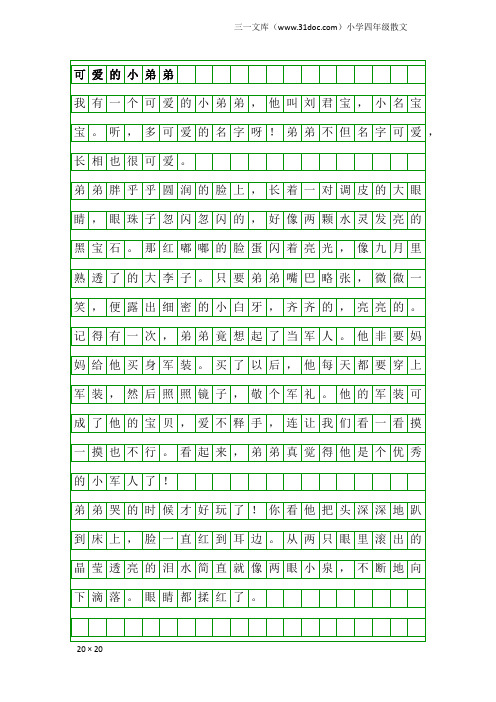 小学四年级散文：可爱的小弟弟