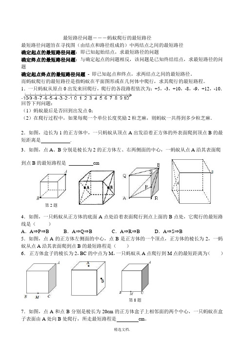 最短路径问题―――蚂蚁爬行的最短路径