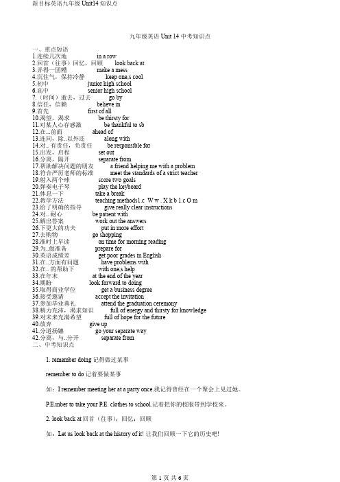 新目标英语九年级Unit14知识点