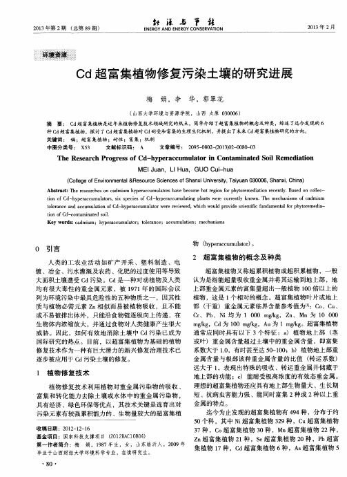 Cd超富集植物修复污染土壤的研究进展