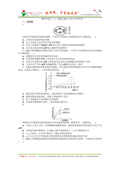 能量之源——光与光合作用习题