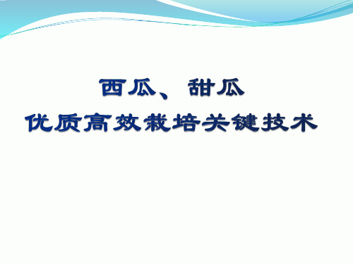 西甜瓜优质高效栽培关键技术