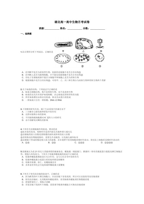 湖北高一高中生物月考试卷带答案解析
