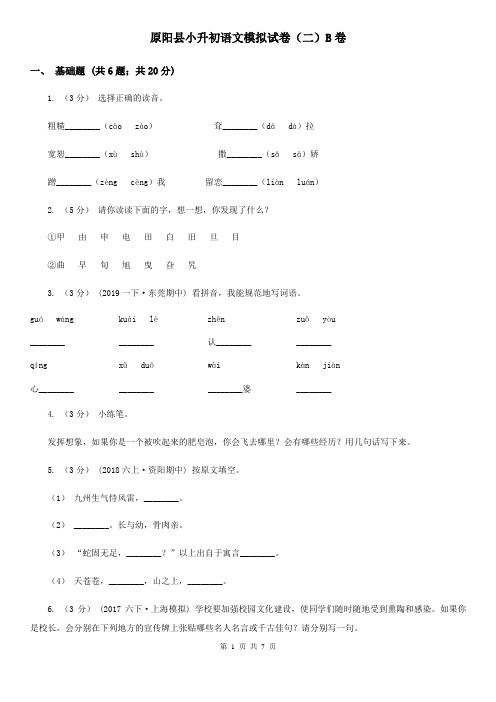 原阳县小升初语文模拟试卷(二)B卷