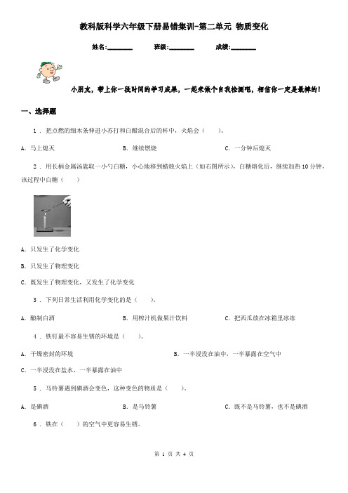 教科版科学六年级下册易错集训-第二单元 物质变化