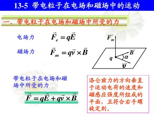 带电粒子在电场磁场中的运动