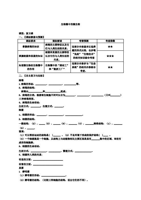 生物圈中的微生物复习教案