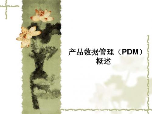 PDM概述