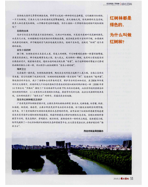 红树林都是绿色的,为什么叫做红树林?