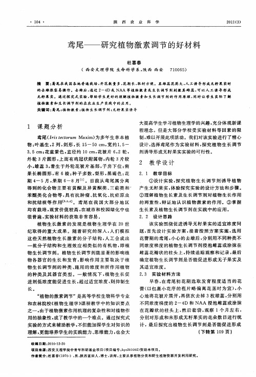 鸢尾——研究植物激素调节的好材料