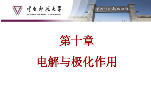 第十章:电解与极化