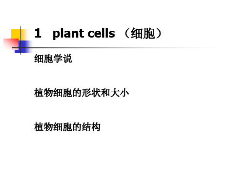 植物细胞