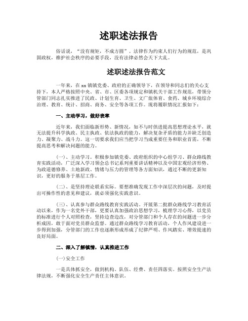 述职述法报告