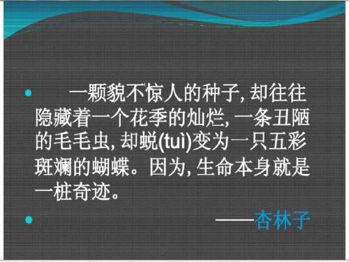 四年级下册语文优秀课件-5.19《生命 生命》人教新课标  (共28张PPT)