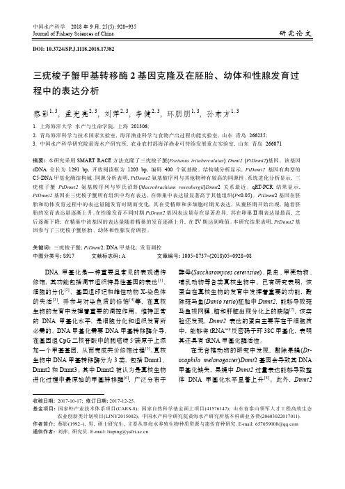 三疣梭子蟹甲基转移酶2基因克隆及在胚胎、幼体和性腺发育过程中的表达分析