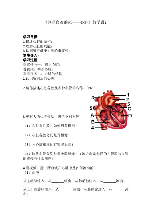 初中生物_第三节 输送血液的泵——心脏(第一课时)教学设计学情分析教材分析课后反思