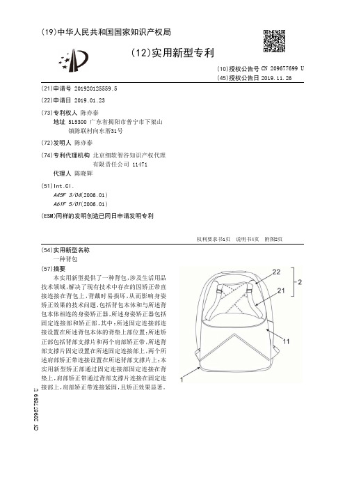 【CN209677699U】一种背包【专利】