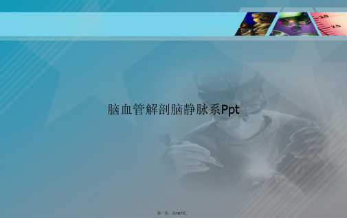 脑血管解剖脑静脉系Ppt讲课文档