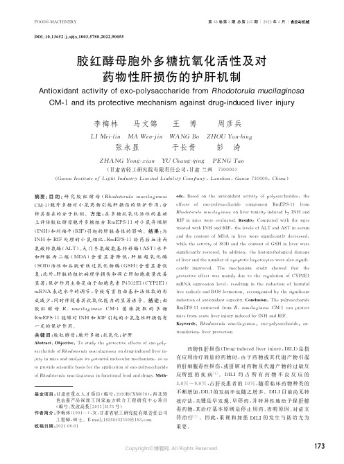 胶红酵母胞外多糖抗氧化活性及对药物性肝损伤的护肝机制