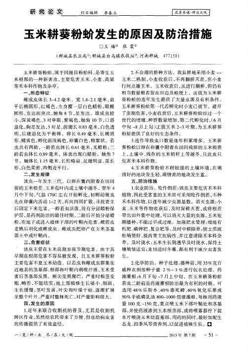 玉米耕葵粉蚧发生的原因及防治措施