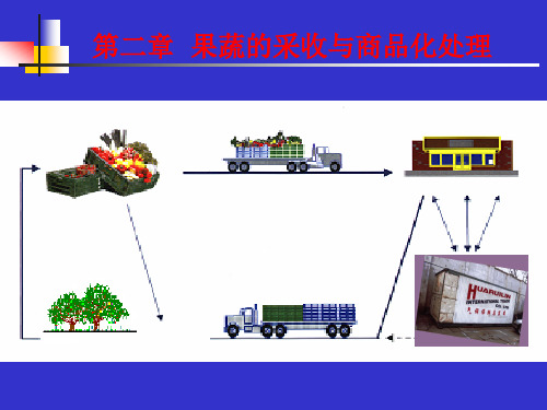 第二章果蔬商品化处理