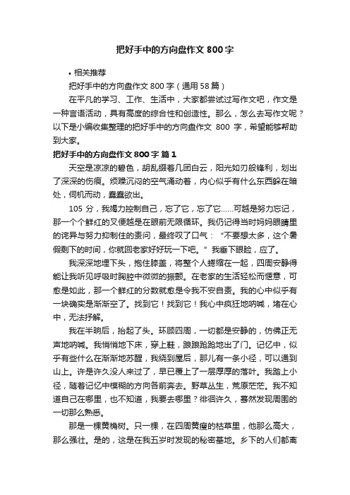 把好手中的方向盘作文800字