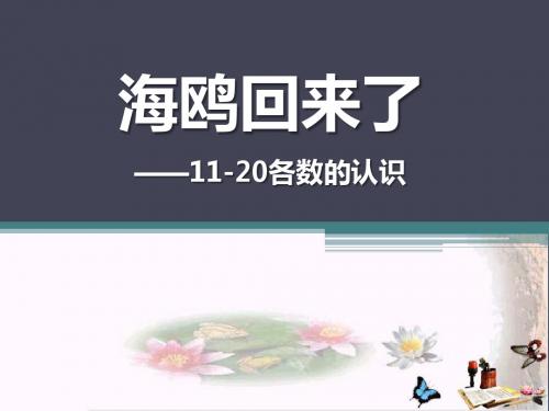 《海鸥回来了》PPT优秀课件