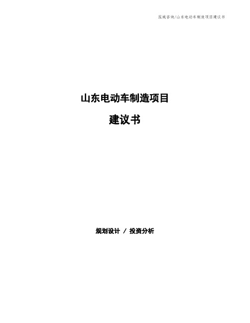 山东电动车制造项目建议书