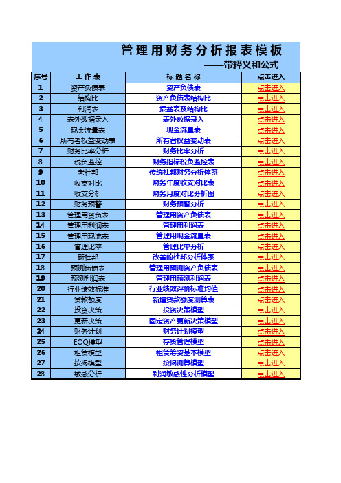 管理用财务分析报表模板