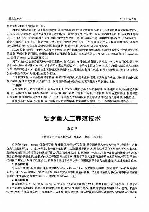 哲罗鱼人工养殖技术