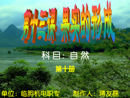 果实的形成