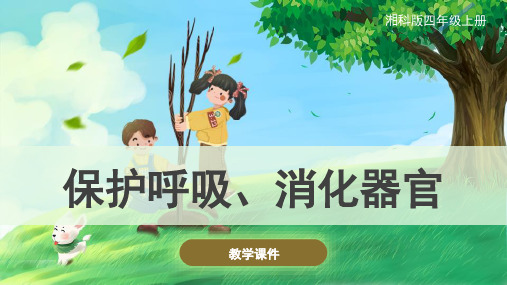 湘科版(新)小学四年级科学上册《保护呼吸、消化器官》原创课件