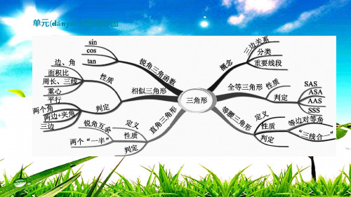 中考数学复习方案 第四单元 三角形 第16课时 几何初步及平行线、相交线课件