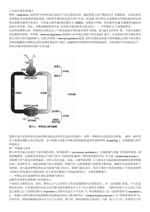 八年制生理学-肺通气