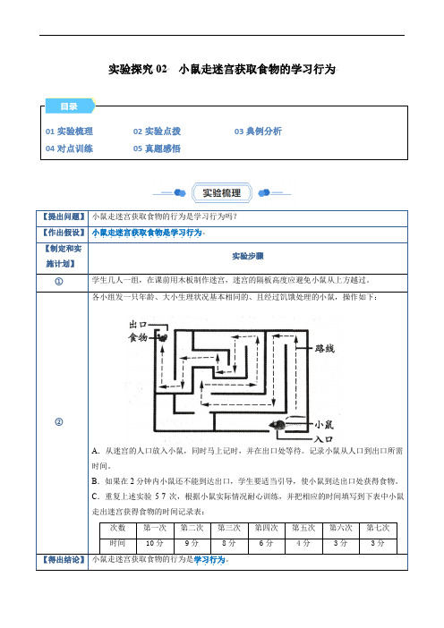 【八年级上册生物实验】实验探究02 小鼠走迷宫获取食物的学习行为(解析版)