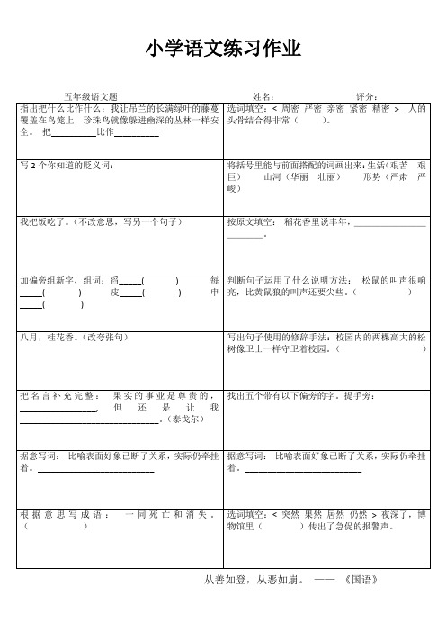 五年级语文课堂拓展精选练习I (96)