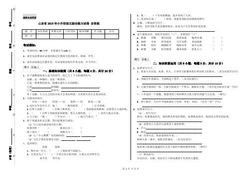 山东省2019年小升初语文综合练习试卷 含答案