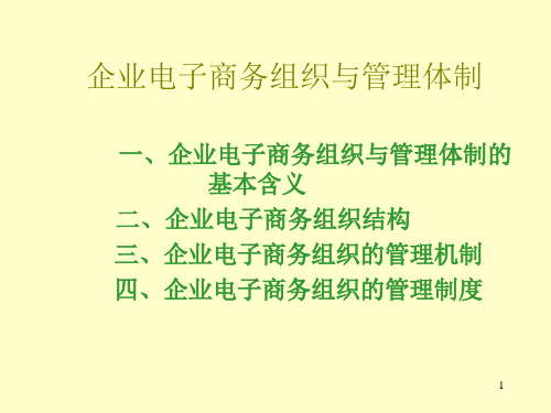 企业电子商务组织与管理体制ppt课件