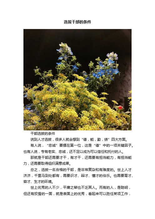 选拔干部的条件