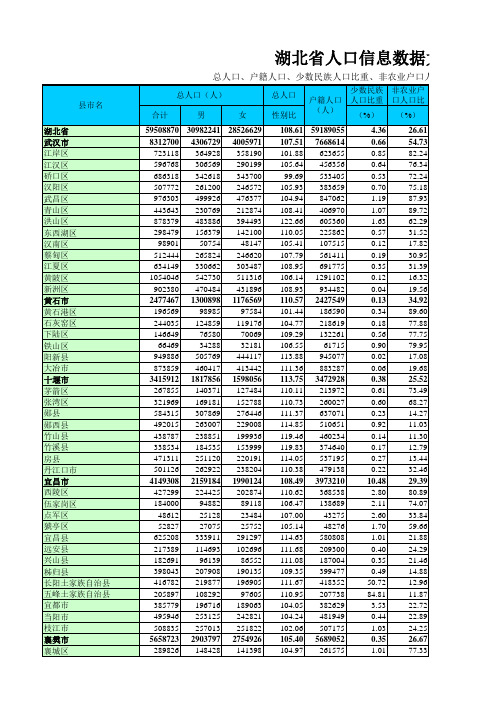 湖北省人口信息数据大全(供各工作站参考)