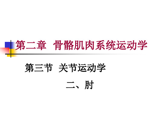 第二章 第三节 关节运动学(二、肘)肌肉与神经支配