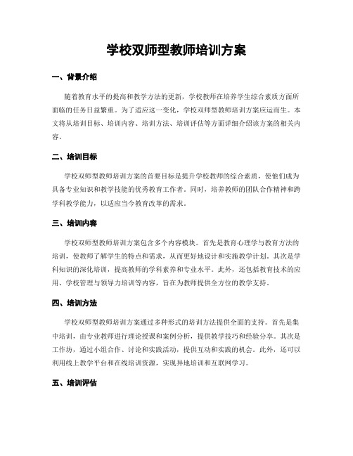 学校双师型教师培训方案