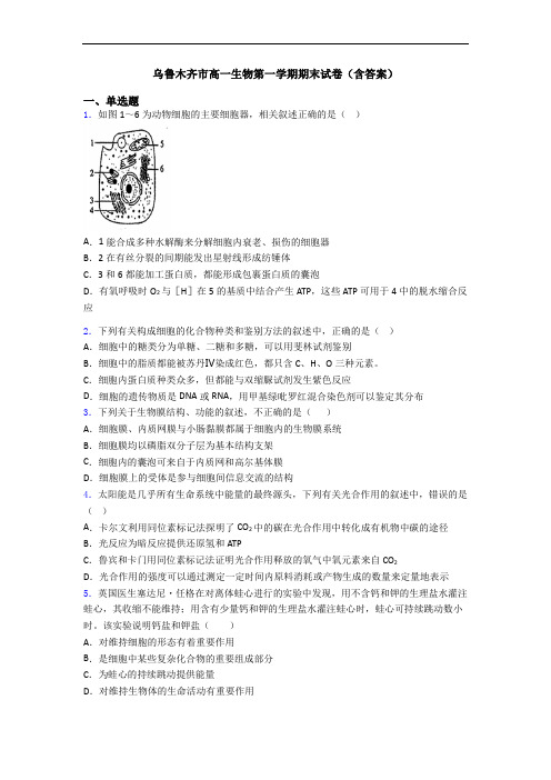 乌鲁木齐市高一生物第一学期期末试卷(含答案)