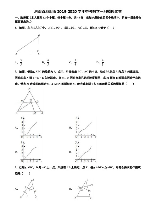 河南省洛阳市2019-2020学年中考数学一月模拟试卷含解析