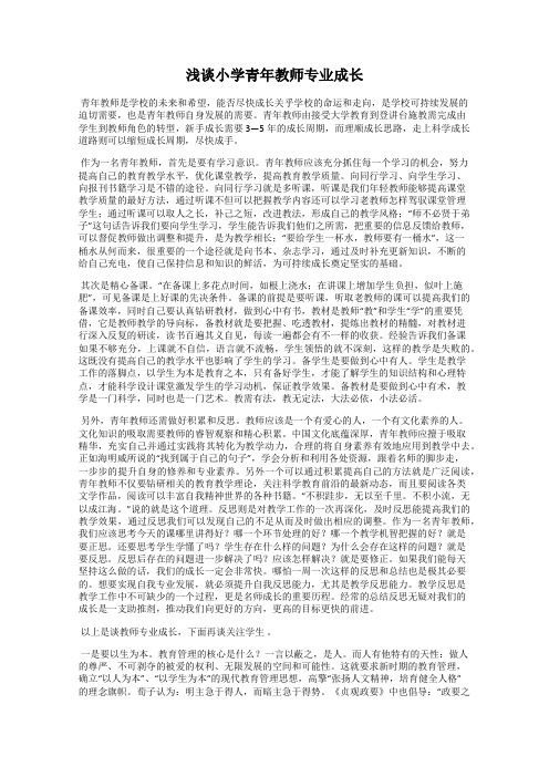 浅谈小学青年教师专业成长