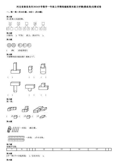 河北省秦皇岛市2024小学数学一年级上学期统编版期末能力评测(摸底卷)完整试卷